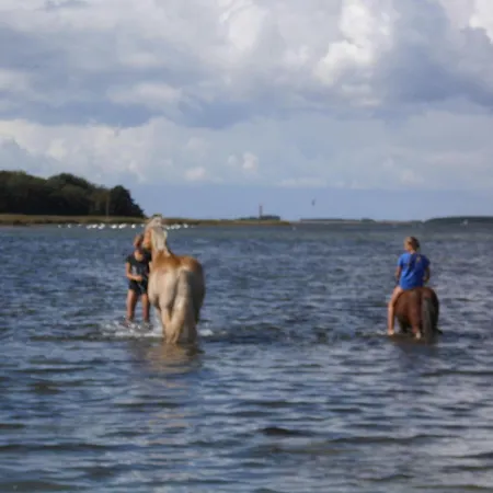 Kleines-landhaus-kopendorf Bojendorf